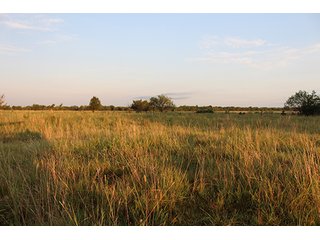 Tract 1 - LAND AUCTION - 440+/- Acres offered in 15 Tracts in Tulsa County